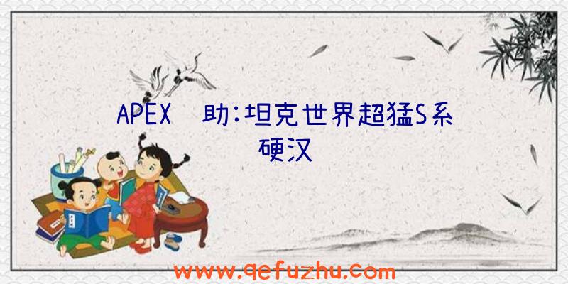 APEX辅助:坦克世界超猛S系硬汉