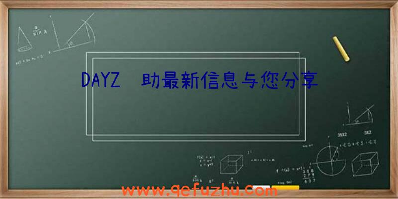 DAYZ辅助最新信息与您分享