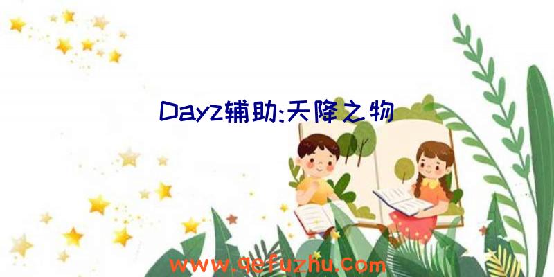 Dayz辅助:天降之物