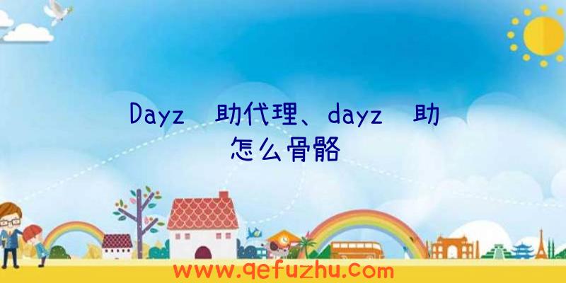 Dayz辅助代理、dayz辅助怎么骨骼