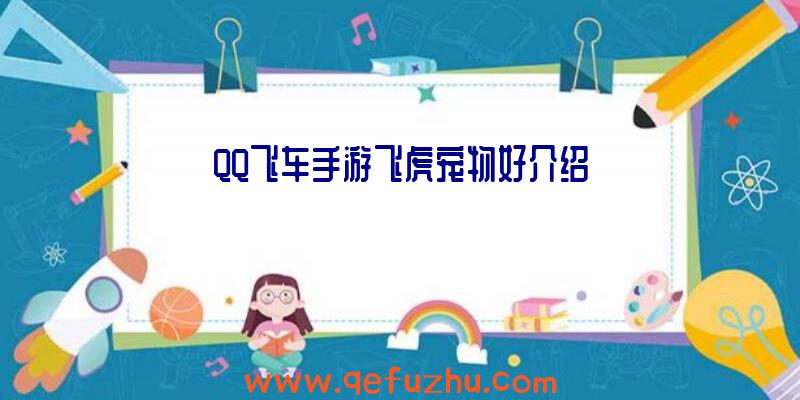 QQ飞车手游飞虎宠物好介绍