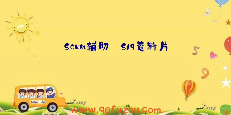 Scum辅助:S19资料片