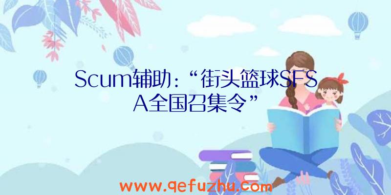 Scum辅助:“街头篮球SFSA全国召集令”