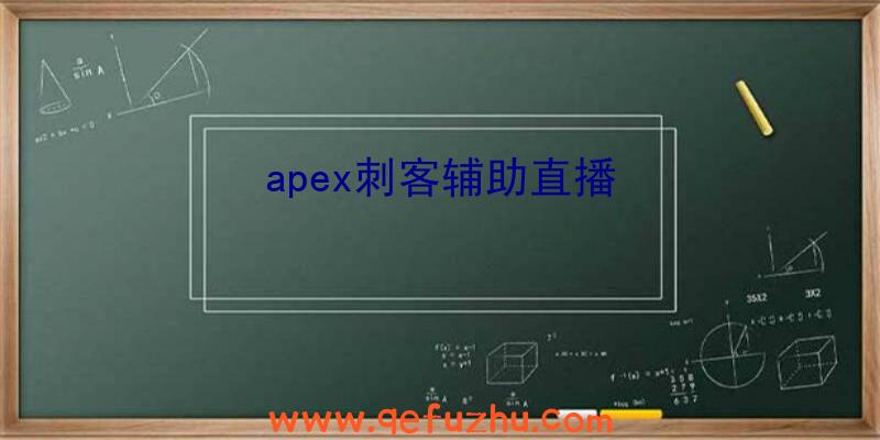 apex刺客辅助直播