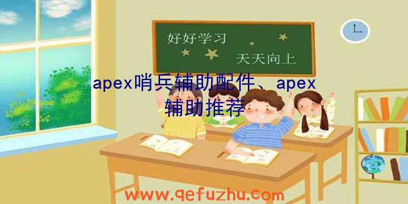 apex哨兵辅助配件、apex辅助推荐