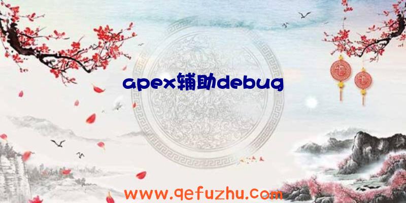 apex辅助debug