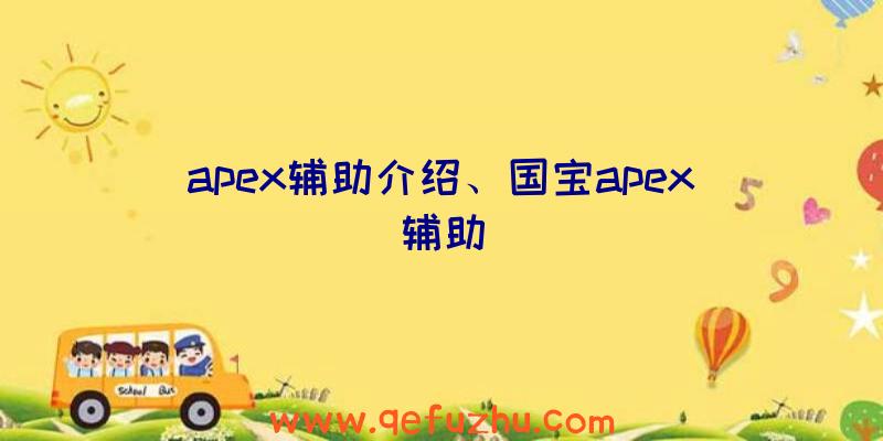 apex辅助介绍、国宝apex辅助