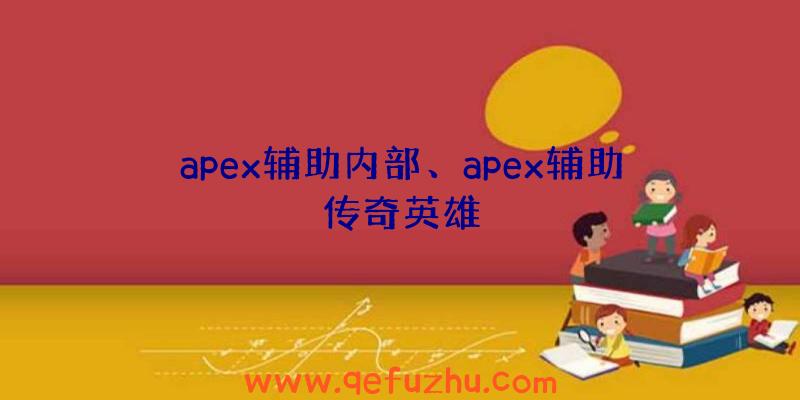 apex辅助内部、apex辅助传奇英雄