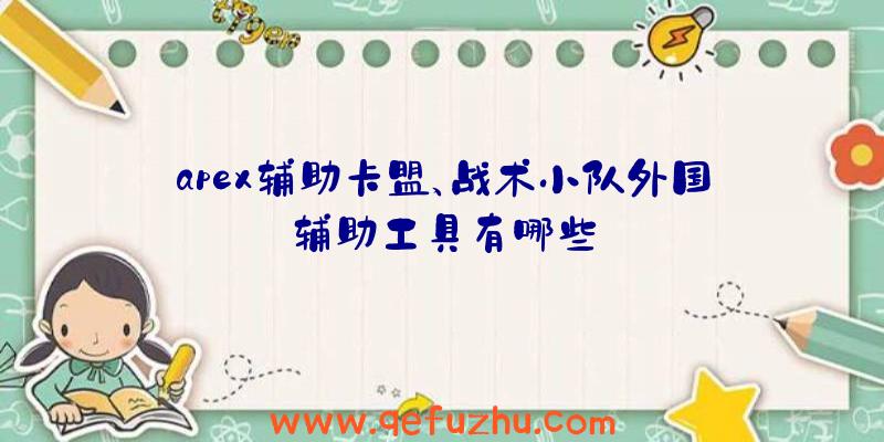 apex辅助卡盟、战术小队外国辅助工具有哪些