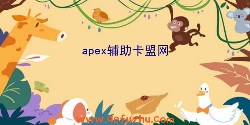 apex辅助卡盟网