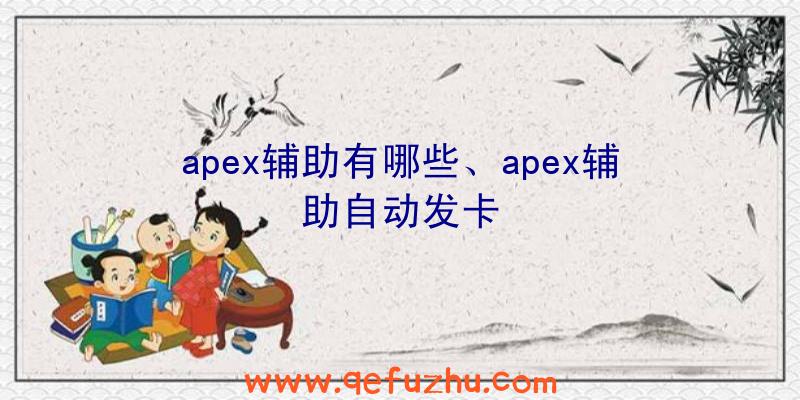 apex辅助有哪些、apex辅助自动发卡