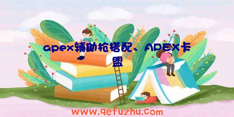 apex辅助枪搭配、APEX卡盟