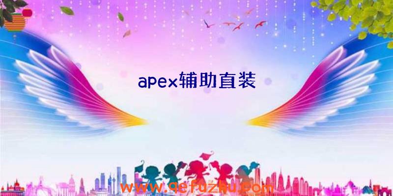 apex辅助直装