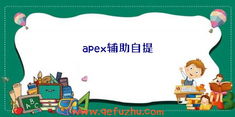 apex辅助自提