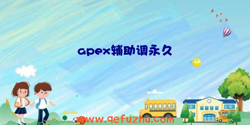 apex辅助调永久