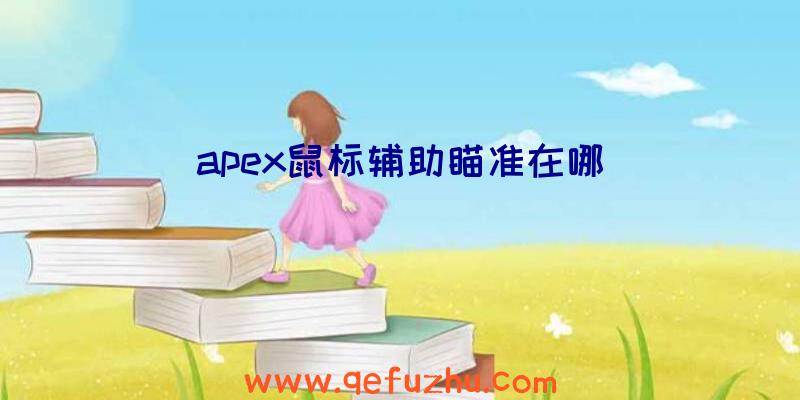 apex鼠标辅助瞄准在哪