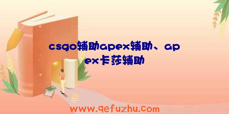 csgo辅助apex辅助、apex卡莎辅助