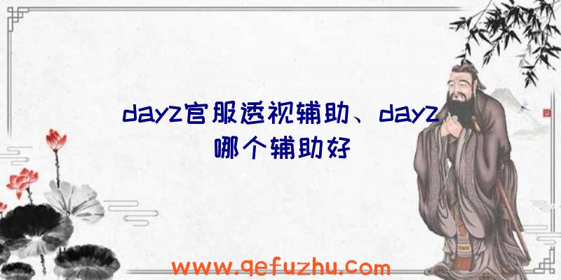 dayz官服透视辅助、dayz哪个辅助好