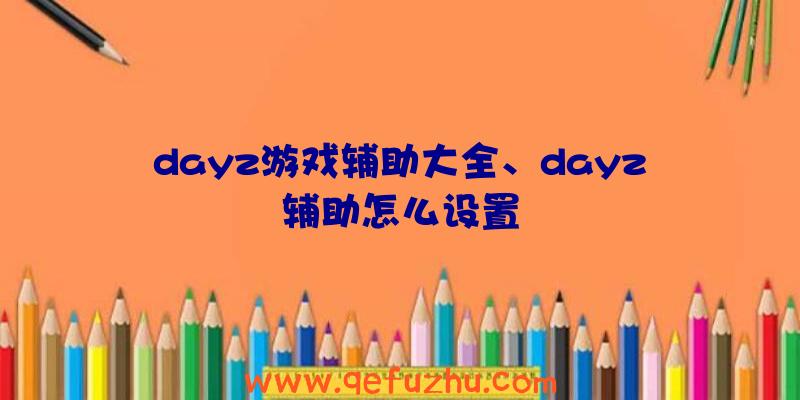 dayz游戏辅助大全、dayz辅助怎么设置