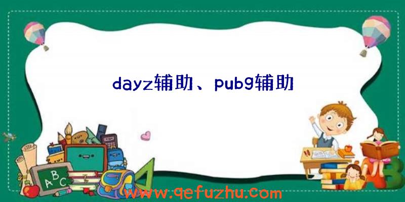 dayz辅助、pubg辅助