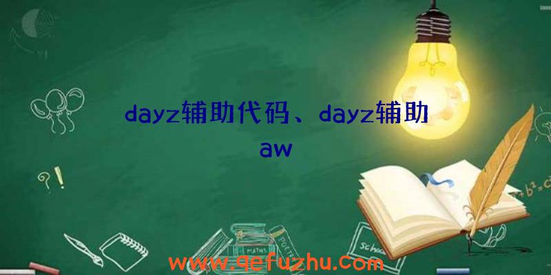 dayz辅助代码、dayz辅助aw