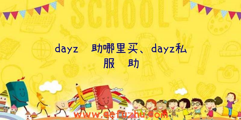 dayz辅助哪里买、dayz私服辅助