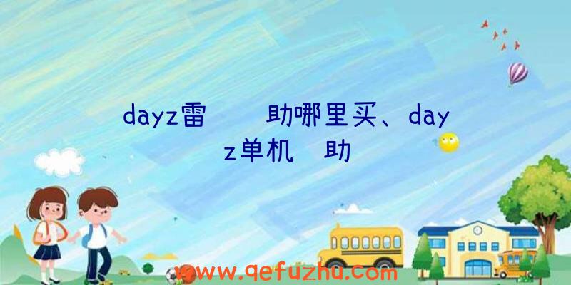 dayz雷达辅助哪里买、dayz单机辅助