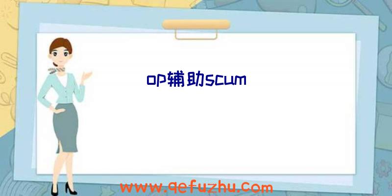 op辅助scum