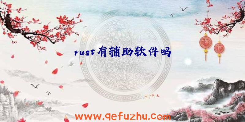 rust有辅助软件吗