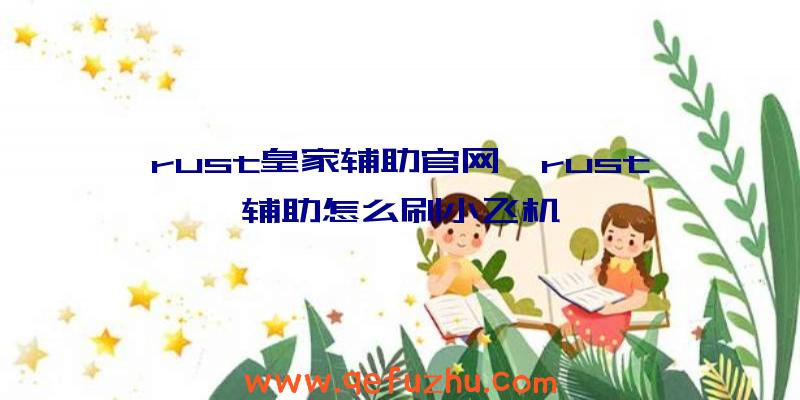 rust皇家辅助官网、rust辅助怎么刷小飞机