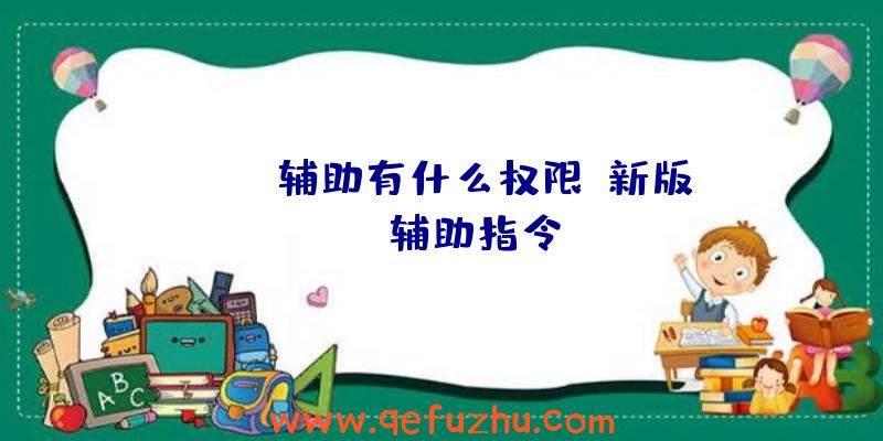 rust辅助有什么权限、新版rust辅助指令