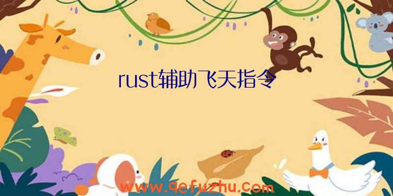 rust辅助飞天指令