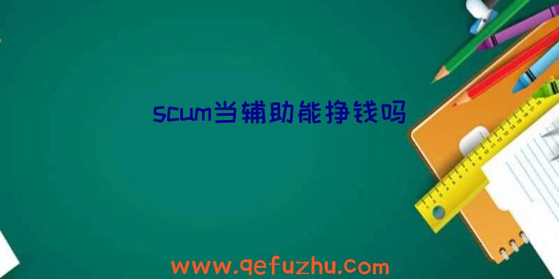 scum当辅助能挣钱吗