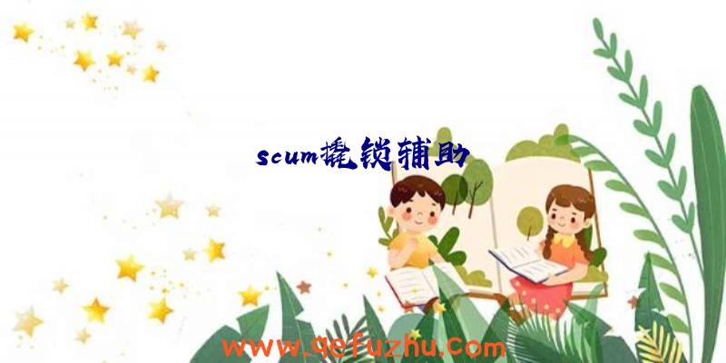 scum撬锁辅助