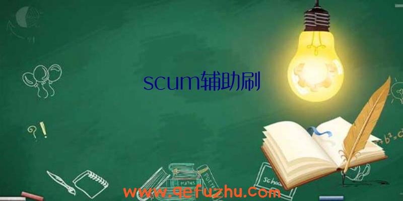 scum辅助刷