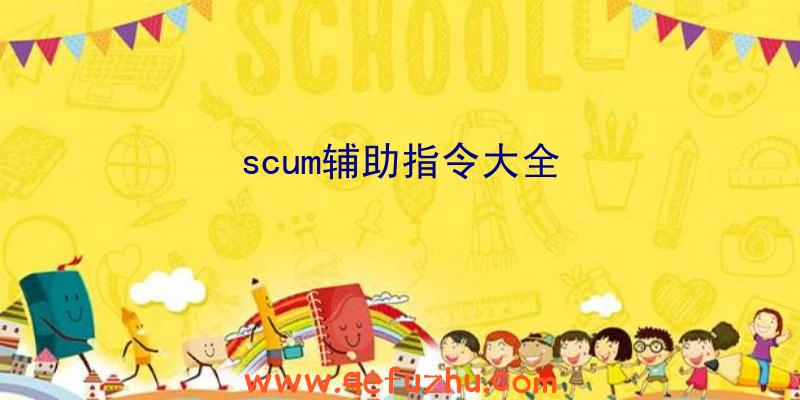 scum辅助指令大全