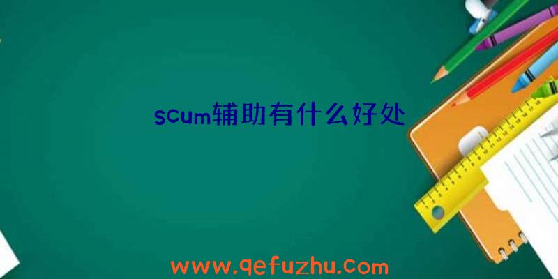 scum辅助有什么好处