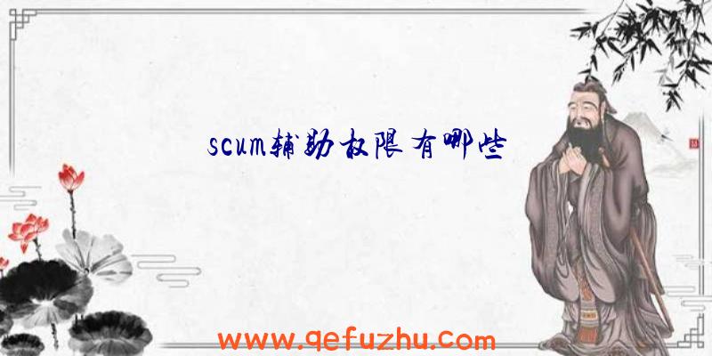 scum辅助权限有哪些