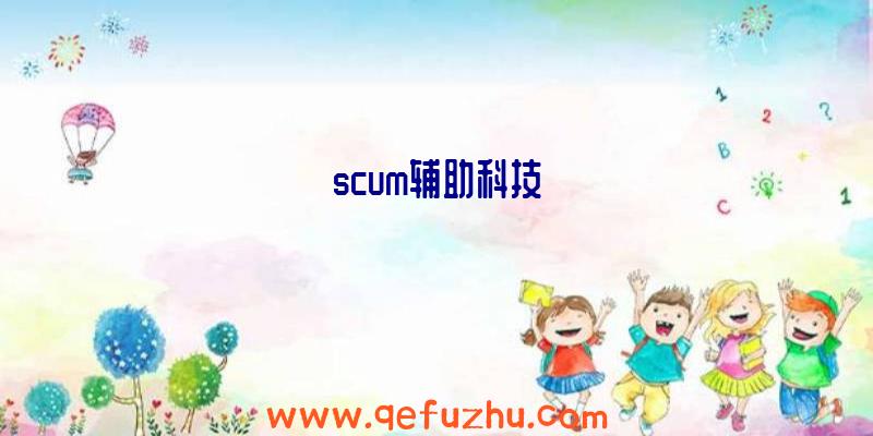 scum辅助科技