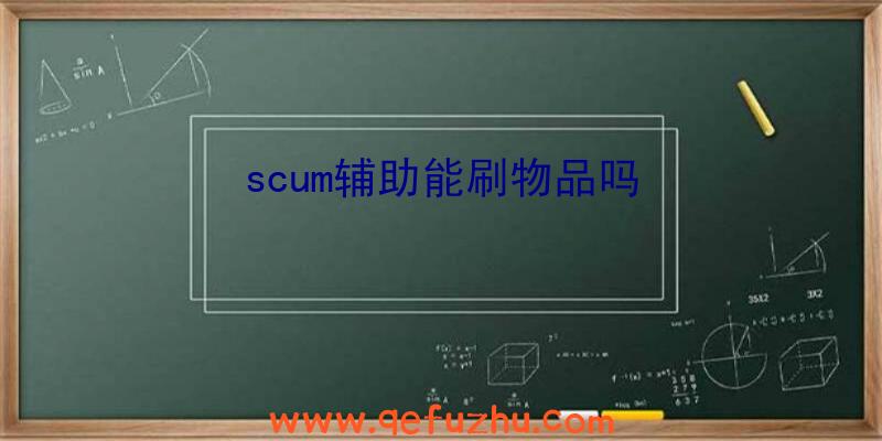 scum辅助能刷物品吗