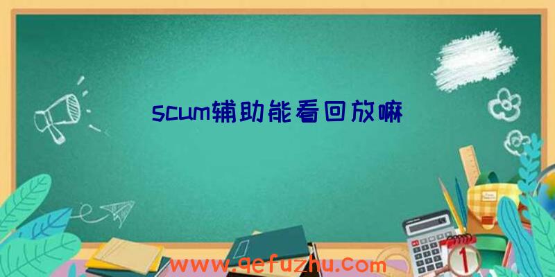 scum辅助能看回放嘛