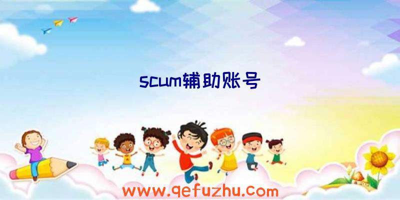 scum辅助账号