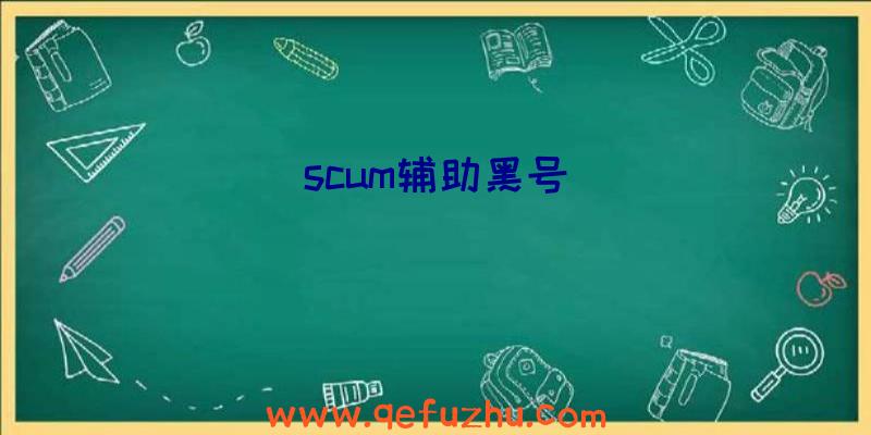 scum辅助黑号