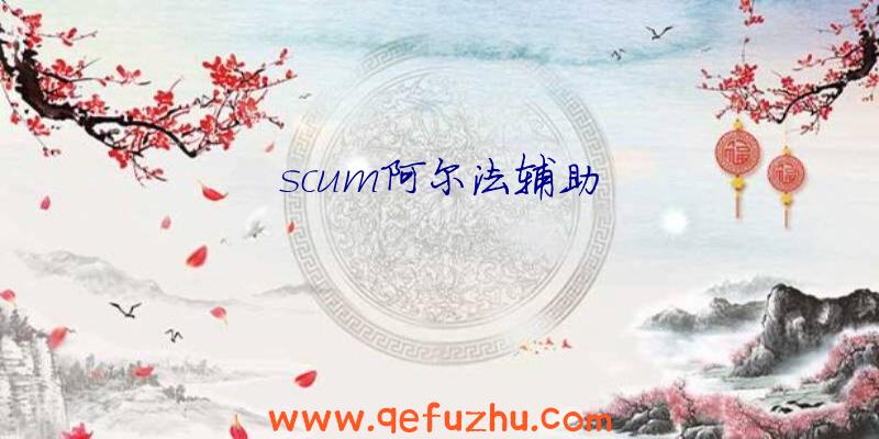 scum阿尔法辅助