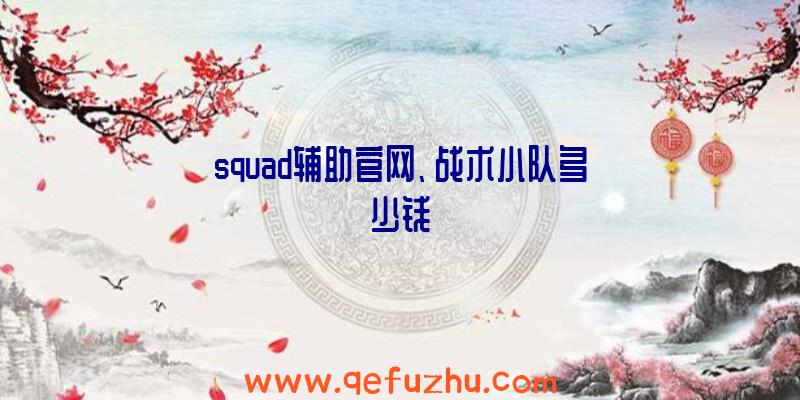 squad辅助官网、战术小队多少钱