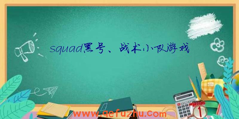 squad黑号、战术小队游戏