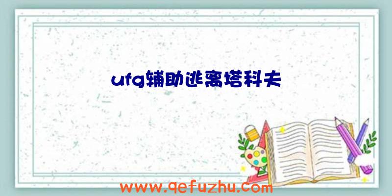 ufg辅助逃离塔科夫