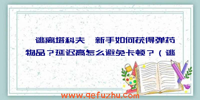 《逃离塔科夫》新手如何获得弹药物品？延迟高怎么避免卡顿？（逃离塔科夫离线模式会消耗弹药吗）