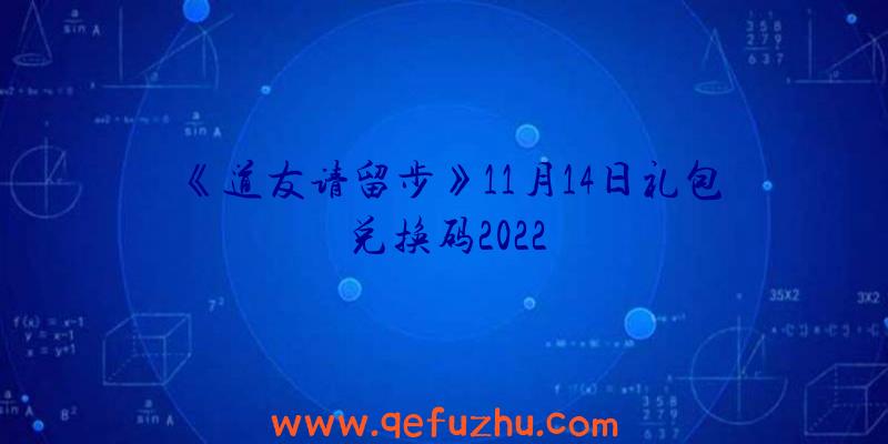 《道友请留步》11月14日礼包兑换码2022