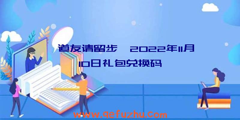 《道友请留步》2022年11月10日礼包兑换码